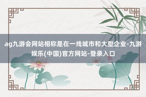 ag九游会网站相称是在一线城市和大型企业-九游娱乐(中国)官方网站-登录入口
