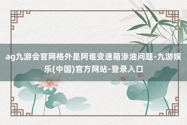 ag九游会官网格外是阿谁变速箱渗油问题-九游娱乐(中国)官方网站-登录入口