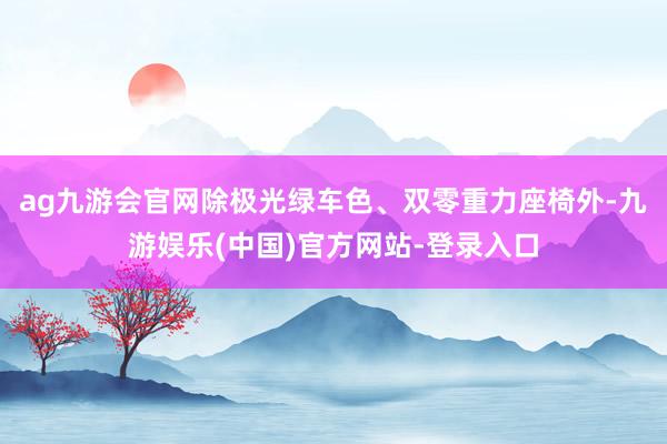 ag九游会官网除极光绿车色、双零重力座椅外-九游娱乐(中国)官方网站-登录入口
