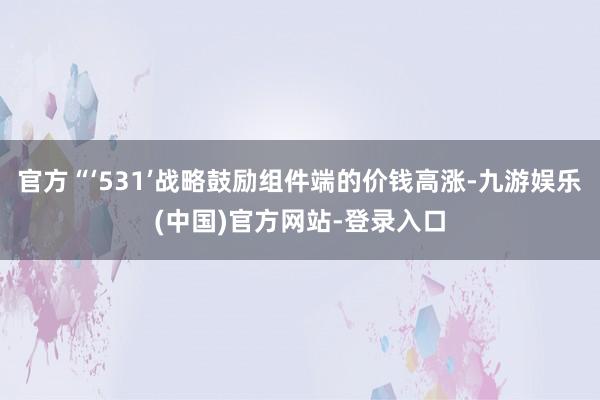 官方“‘531’战略鼓励组件端的价钱高涨-九游娱乐(中国)官方网站-登录入口