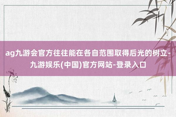 ag九游会官方往往能在各自范围取得后光的树立-九游娱乐(中国)官方网站-登录入口