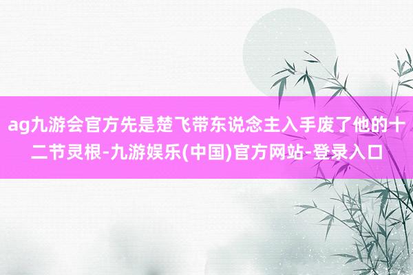 ag九游会官方先是楚飞带东说念主入手废了他的十二节灵根-九游娱乐(中国)官方网站-登录入口