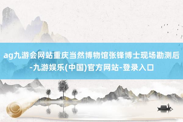 ag九游会网站重庆当然博物馆张锋博士现场勘测后-九游娱乐(中国)官方网站-登录入口