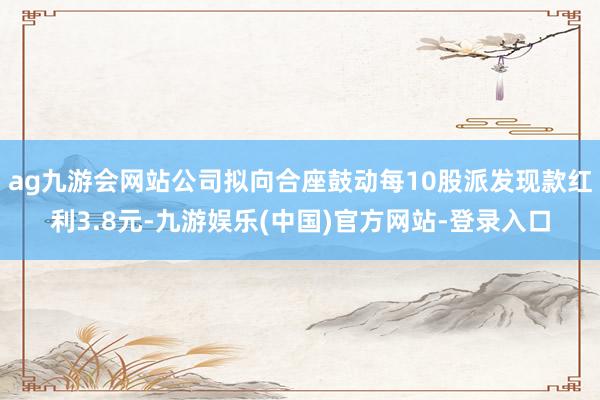 ag九游会网站公司拟向合座鼓动每10股派发现款红利3.8元-九游娱乐(中国)官方网站-登录入口